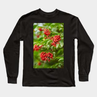 Red Rowan tree berries on branches Long Sleeve T-Shirt